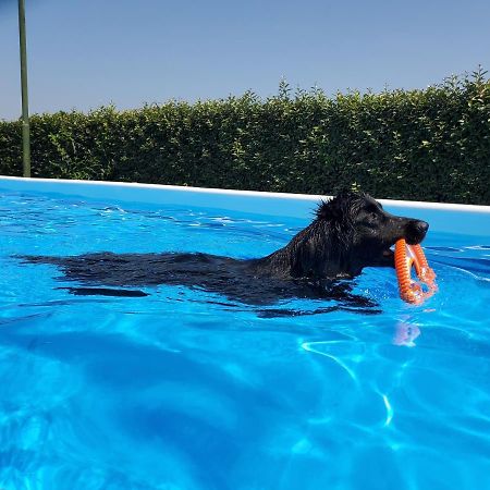 Agriturismo Delizia D'Este Francolino Ngoại thất bức ảnh