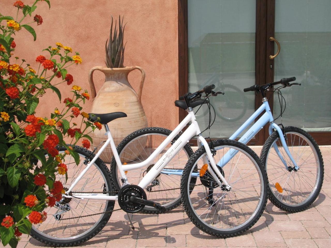 Agriturismo Delizia D'Este Francolino Ngoại thất bức ảnh